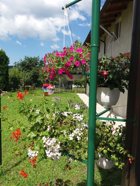 Casa Ariana Hotel Árgyasudvarhely Kültér fotó
